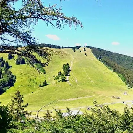 Olívia 8 Hrabovská Dolina Apartman *