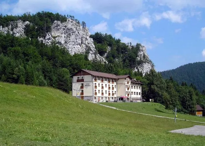 Olívia 8 Hrabovská Dolina *