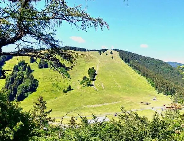 Olívia 8 Hrabovská Dolina Apartman *